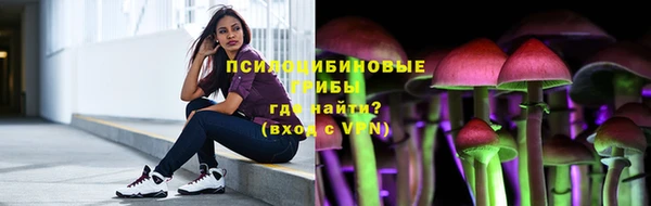 ешки Богородицк