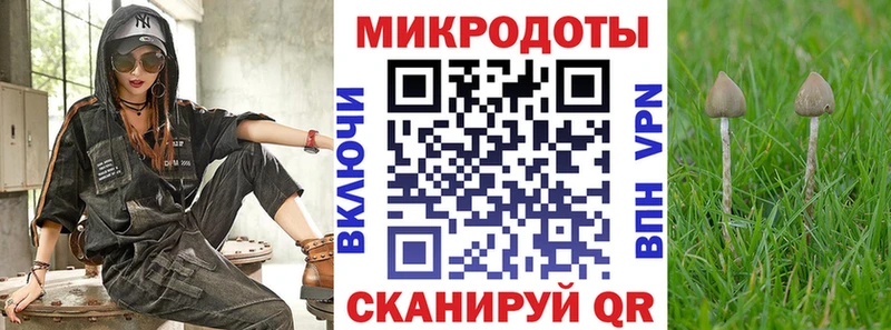 Галлюциногенные грибы Psilocybe  наркошоп  Дзержинский 